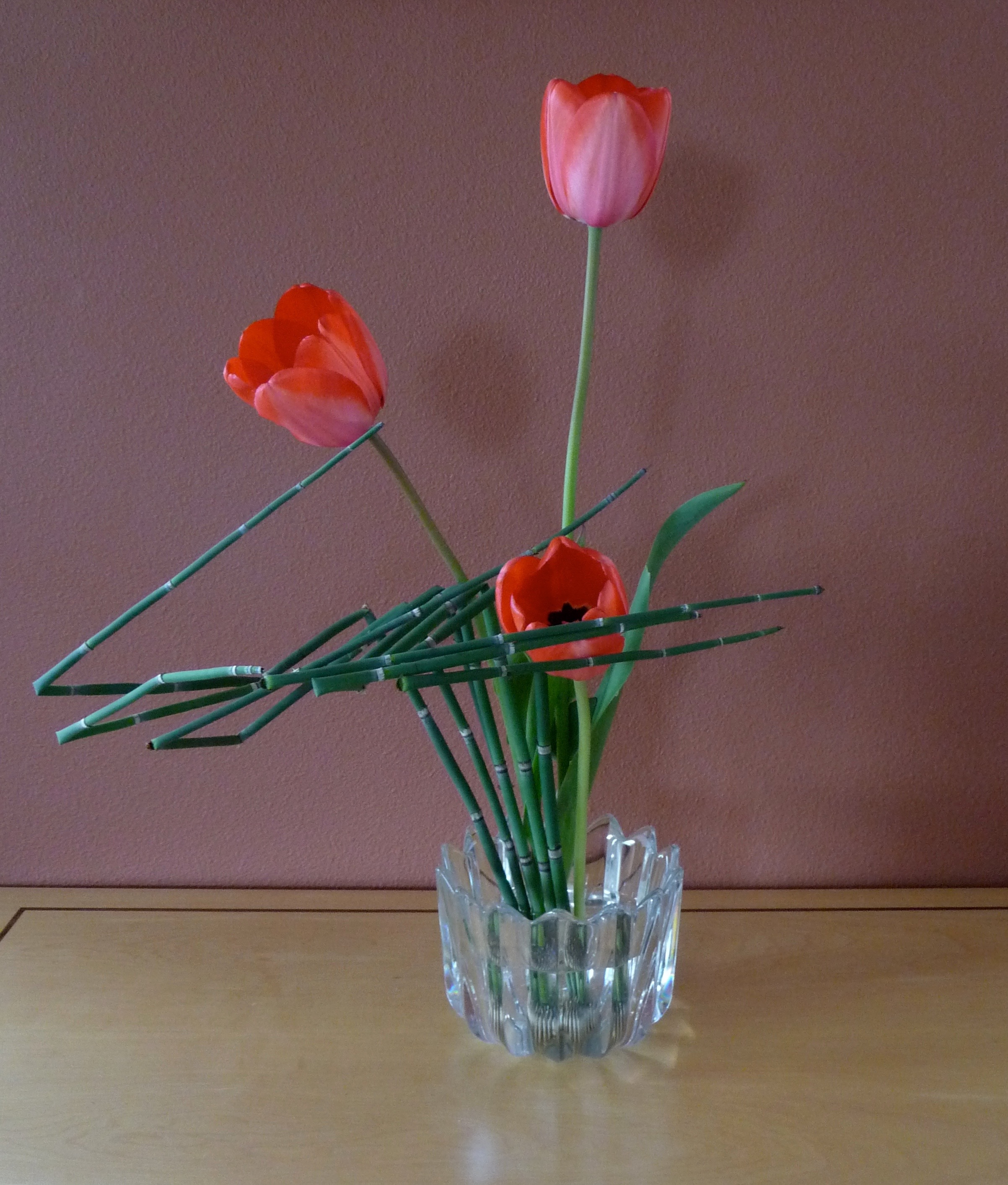 Tulips, Horse Tail