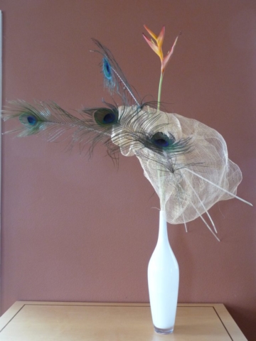 Bird of Paradise, Peacock feathers