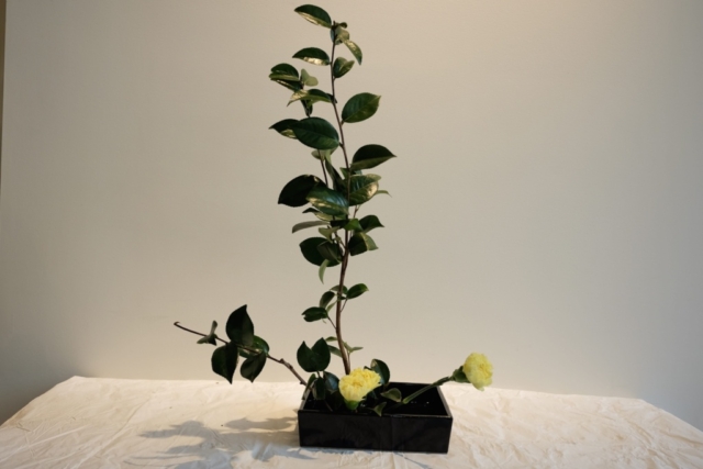 Ikebana