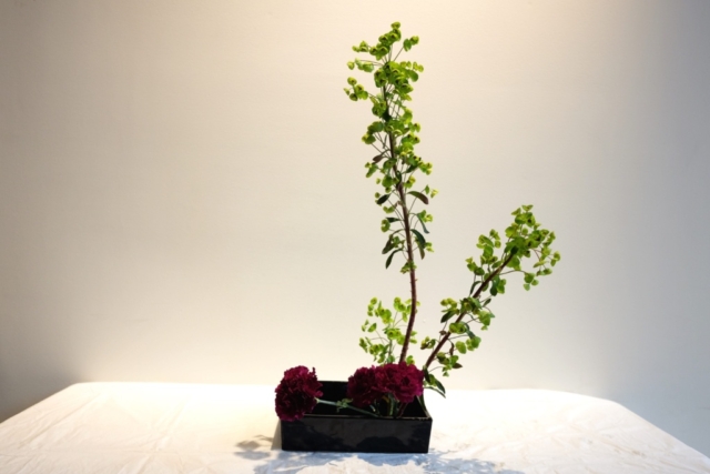 Ikebana