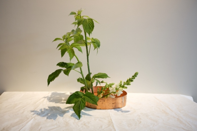 Ikebana