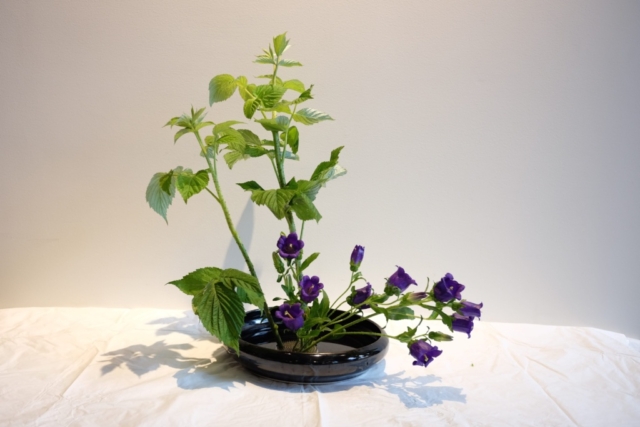 Ikebana