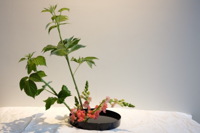 Ikebana