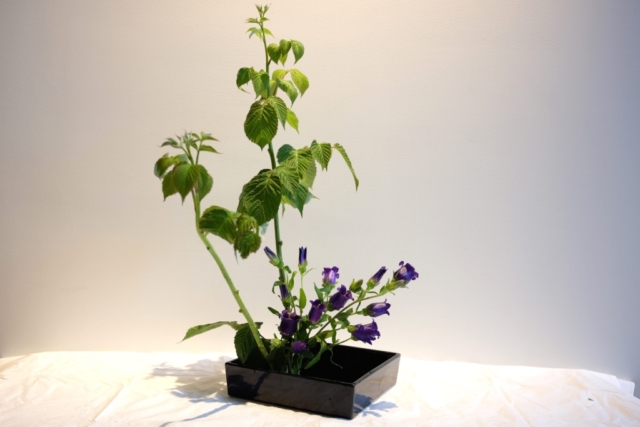 Ikebana