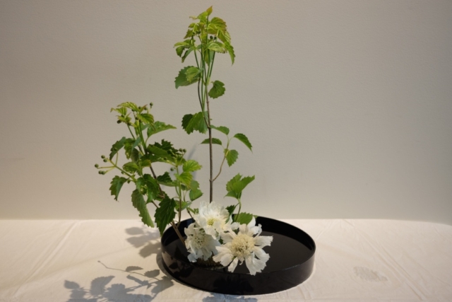 Ikebana