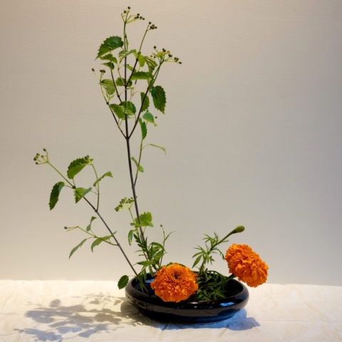 Ikebana