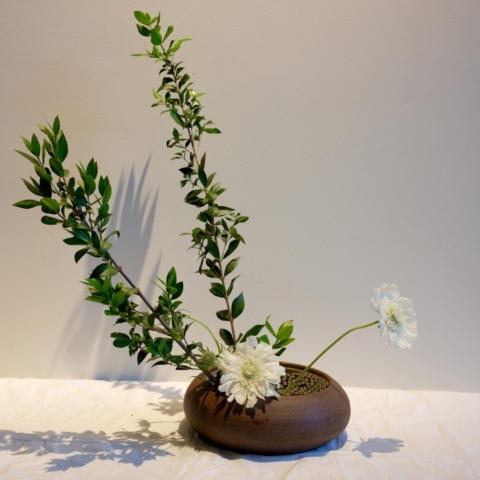 Ikebana