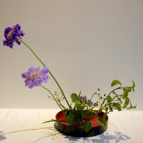 Ikebana