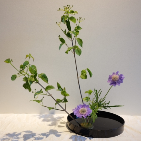 Ikebana