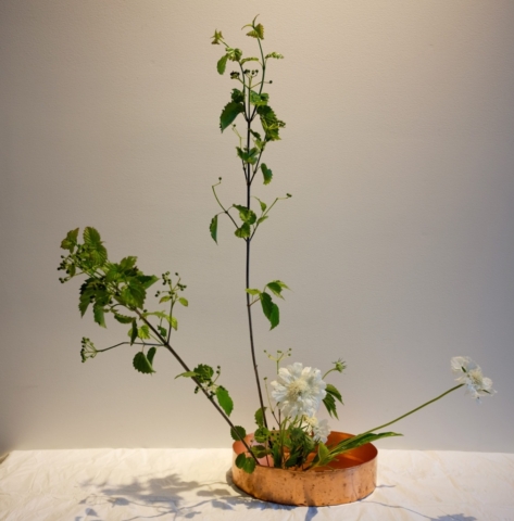 Ikebana