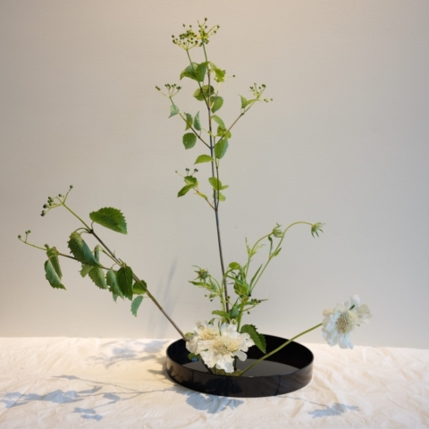 Ikebana