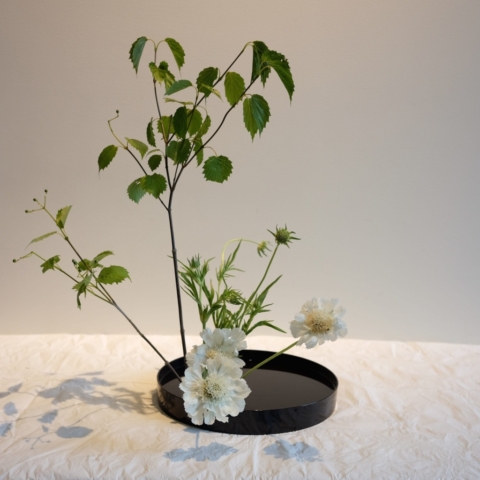 Ikebana