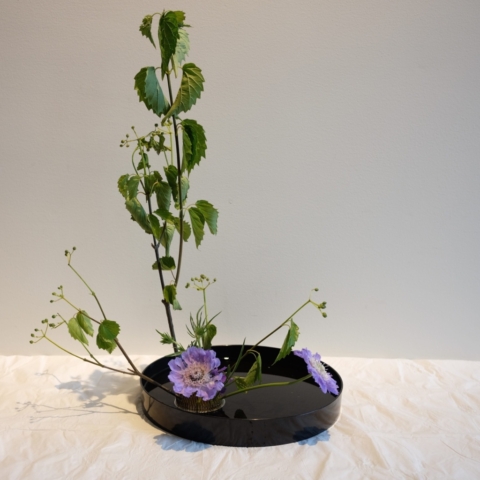 Ikebana