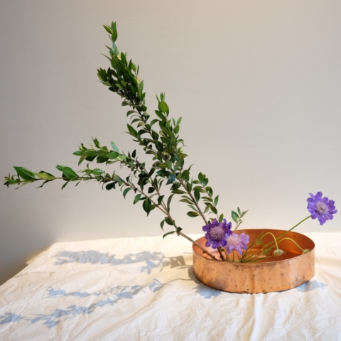 Ikebana