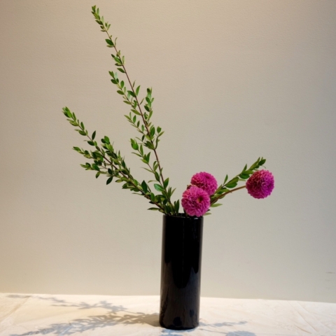 Ikebana