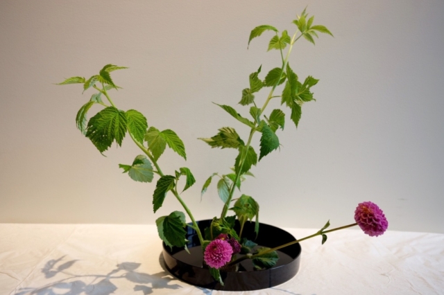 Ikebana