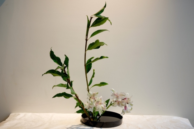 Ikebana