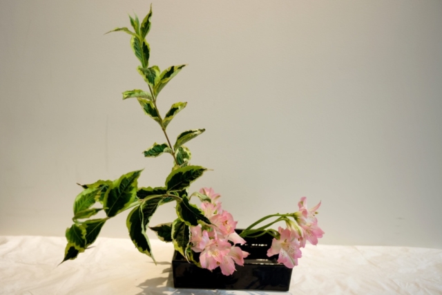 Ikebana