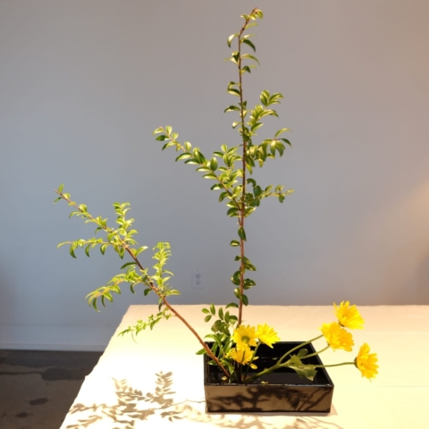 Ikebana