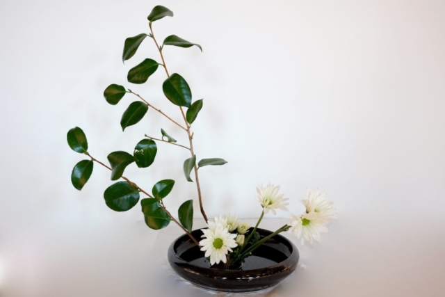 Ikebana