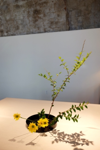 Ikebana