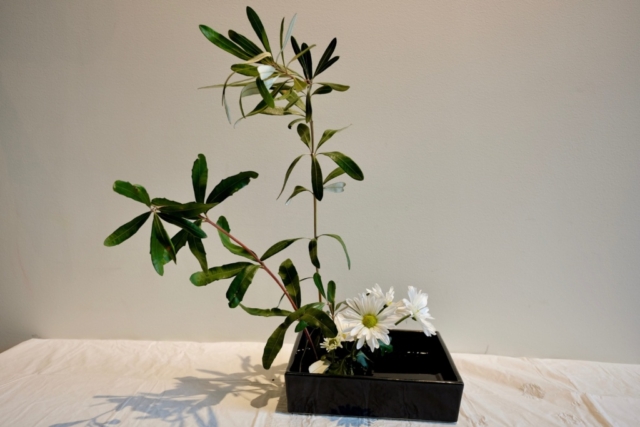 Ikebana