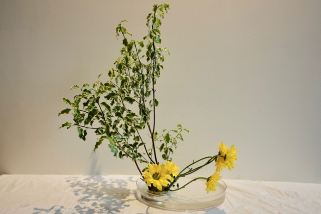 Ikebana