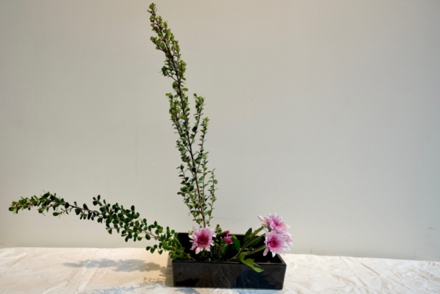 Ikebana