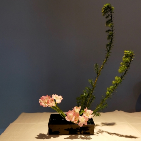 Ikebana