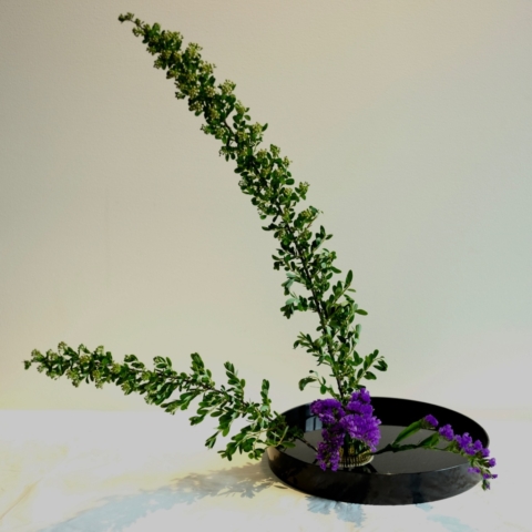 Ikebana