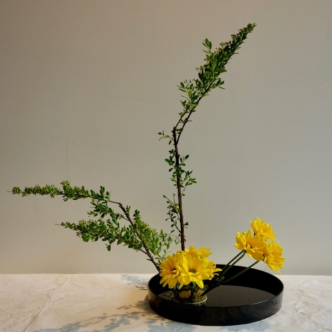 Ikebana