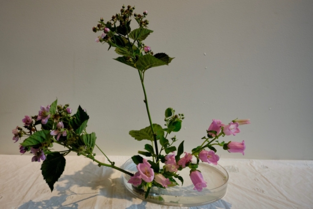 Ikebana