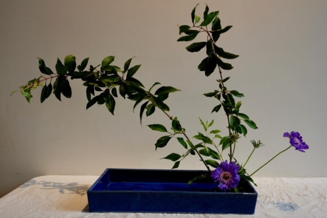 Ikebana