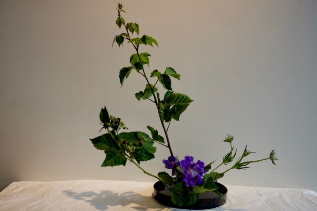 Ikebana