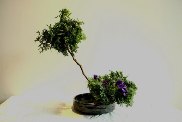 Ikebana