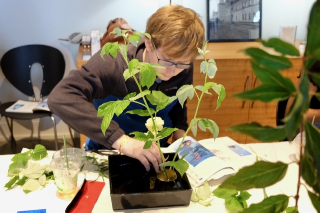 Ikebana