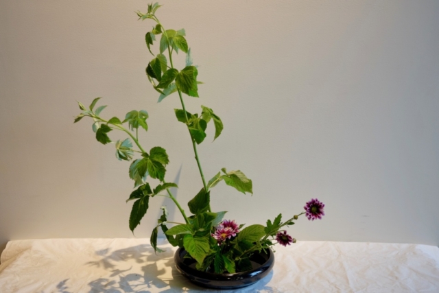 Ikebana