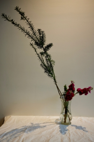 Ikebana