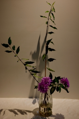 Ikebana