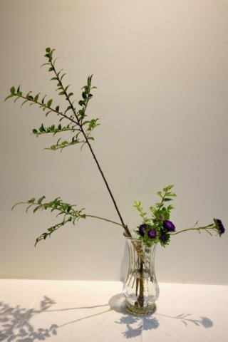 Ikebana