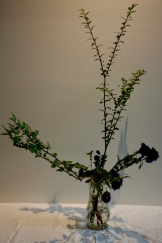 Ikebana