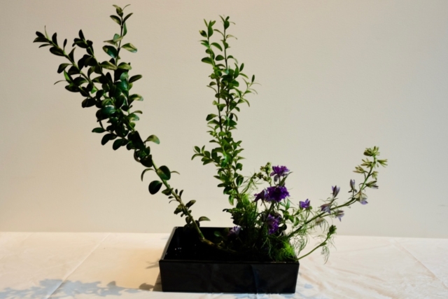 Ikebana