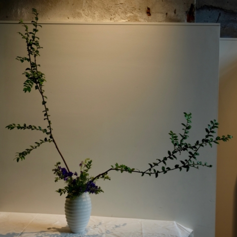 Ikebana