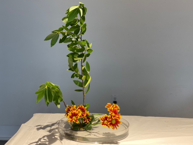 Ikebana