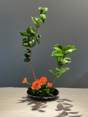 Ikebana