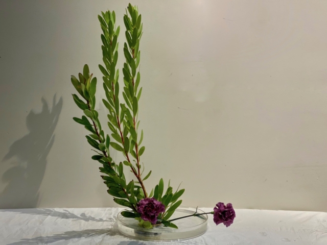 Ikebana