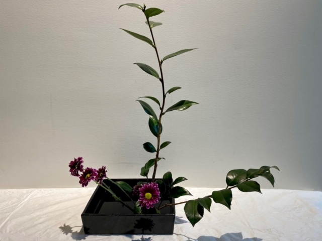 Ikebana