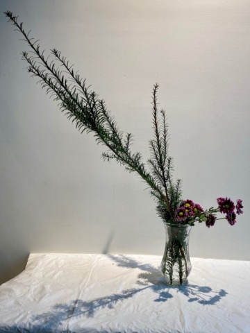 Ikebana