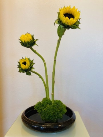 Ikebana