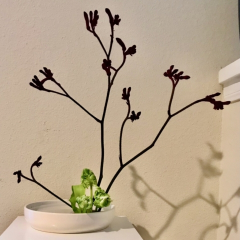 Ikebana